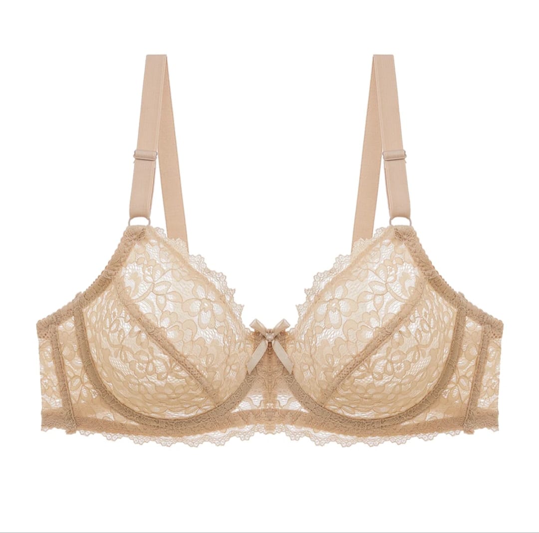 Pack of 2 Net Embroided Non-Padded & Non-Wired Full Net Transparent Cotton Bras